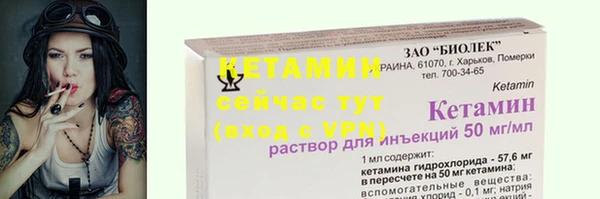 ПСИЛОЦИБИНОВЫЕ ГРИБЫ Бородино